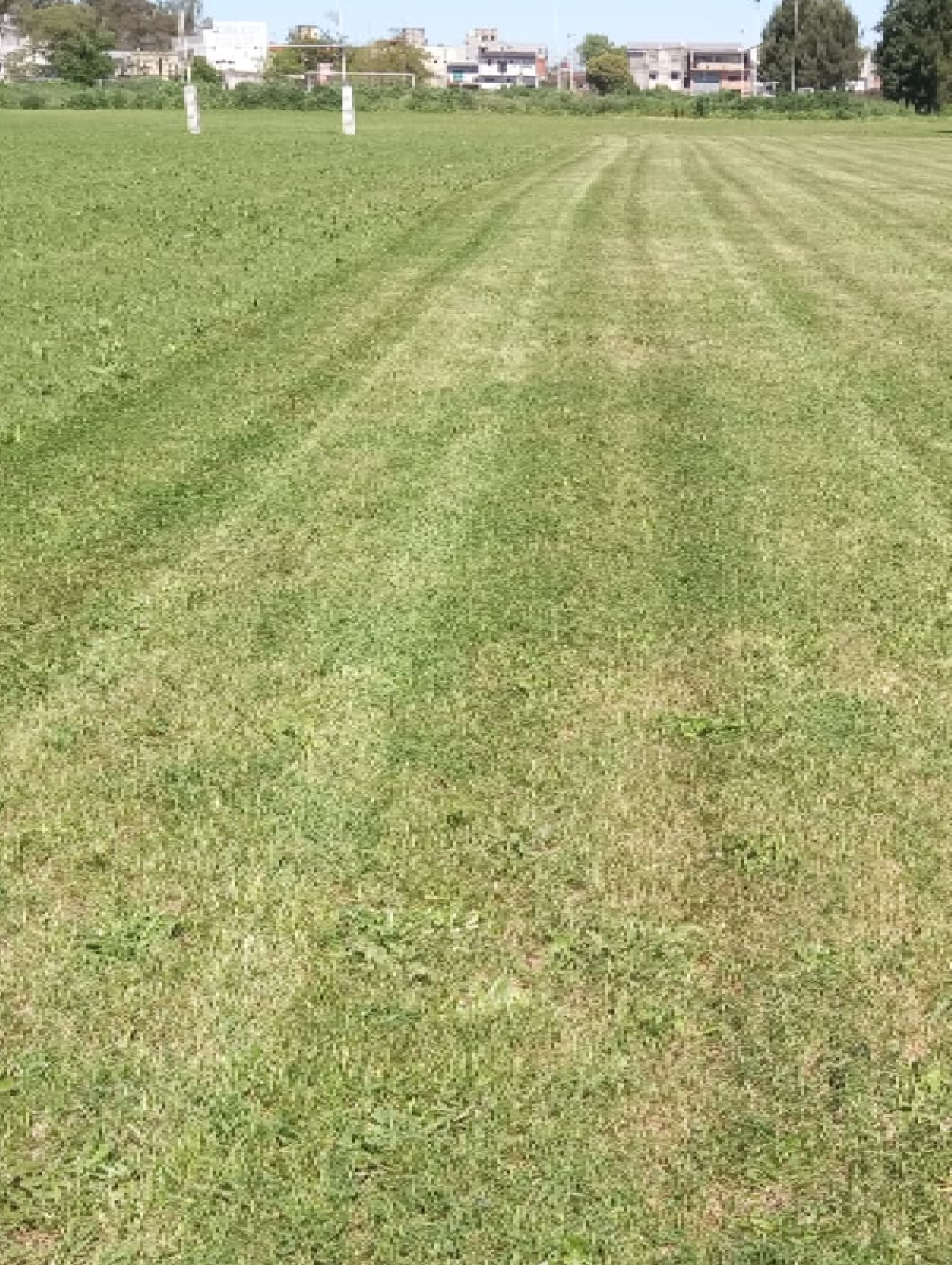 Servicio de Corte de Pasto en Canchas de Rugby