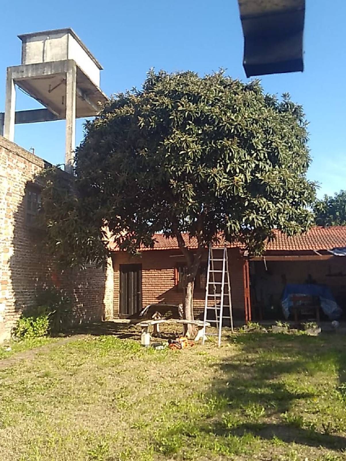 Poda de Altura en San Martín