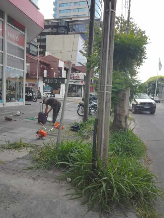 Limpieza de vereda en vicente lopez