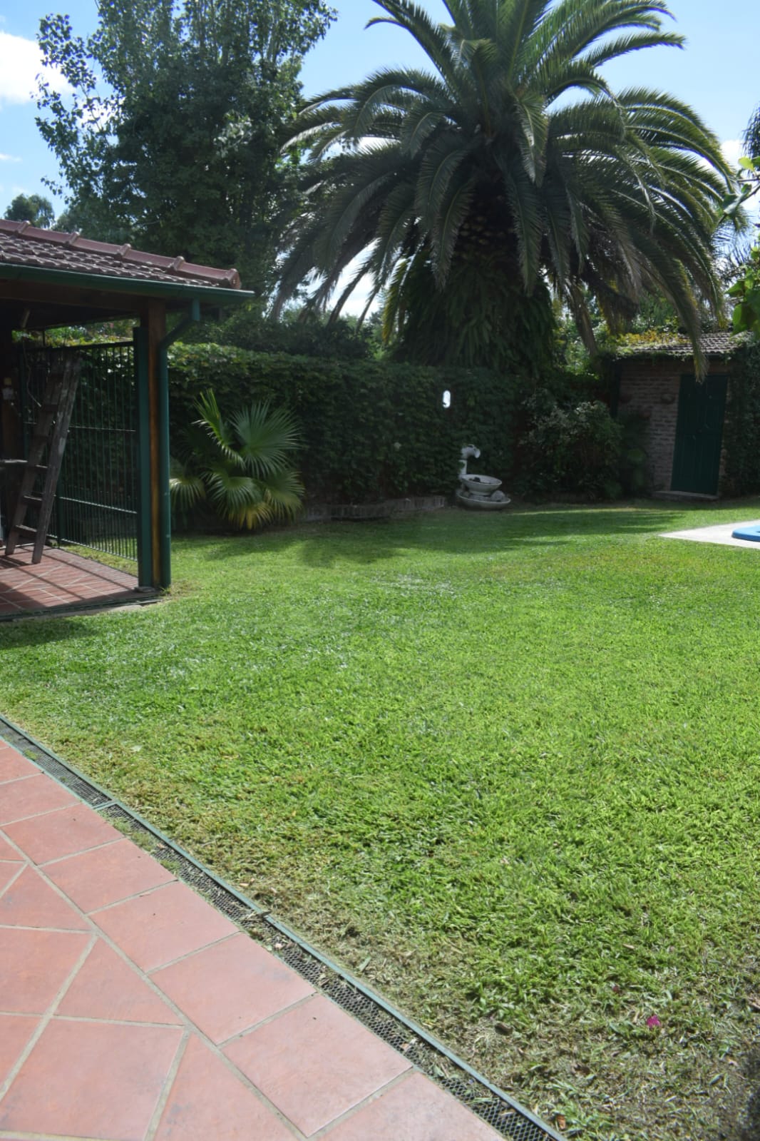 Recuperación de Jardín: Limpieza de Enredaderas y Cercos en Beccar - Buenos Aires. Caso Juan Carlos