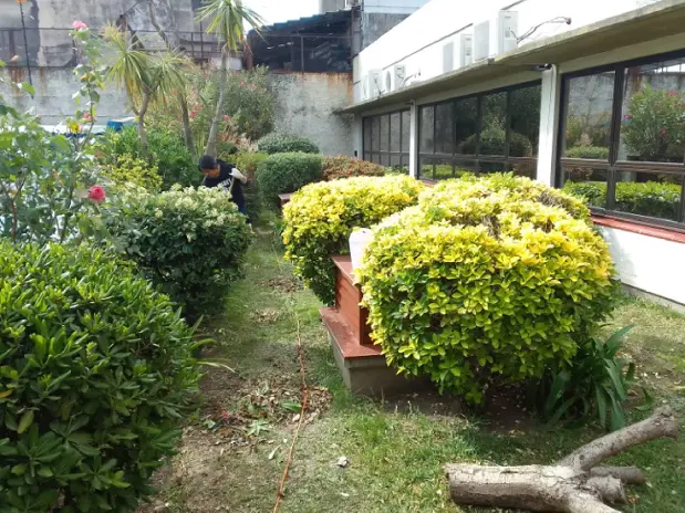 Servicio de Corte de Pasto en San Martín - imagen 2