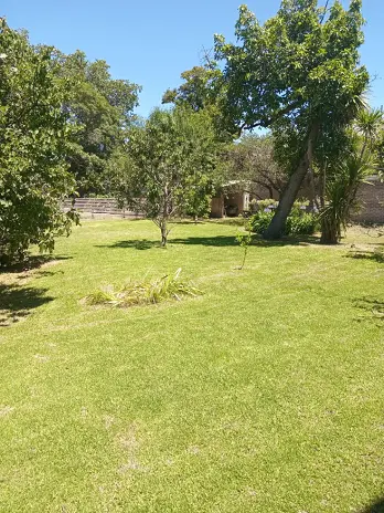 Servicio de Corte de Pasto en Villa Luzuriaga - imagen 2