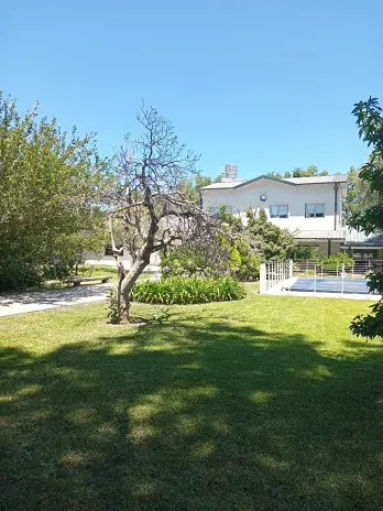 Servicio de Corte de Pasto en Villa Luzuriaga - imagen 3
