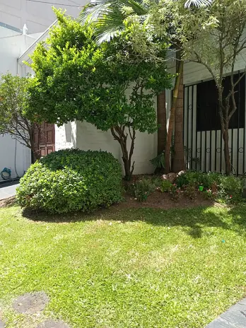 Servicio de Mantenimiento de Jardines - San Martín