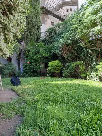 Servicio de Mantenimiento de Jardines - San Martín - imagen 1