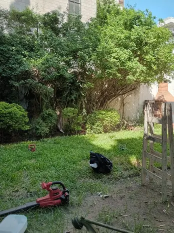 Servicio de Mantenimiento de Jardines - San Martín - imagen 2