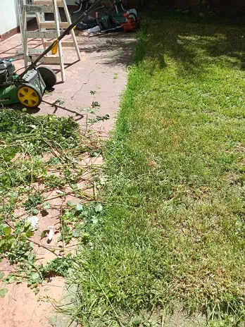 Servicio de Mantenimiento de Jardines - San Martín - imagen 3