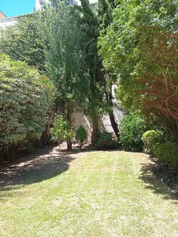 Servicio de Mantenimiento de Jardines - San Martín - imagen 7