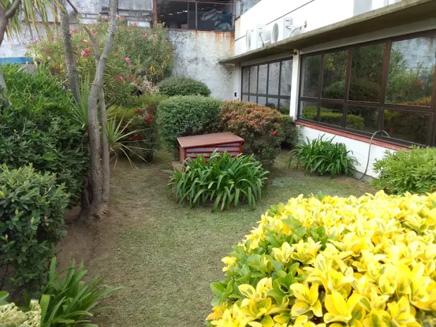 Servicio de Corte de Pasto en San Martín - imagen 3
