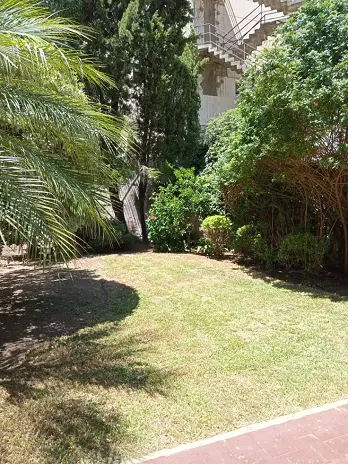 Servicio de Mantenimiento de Jardines - San Martín - imagen 8