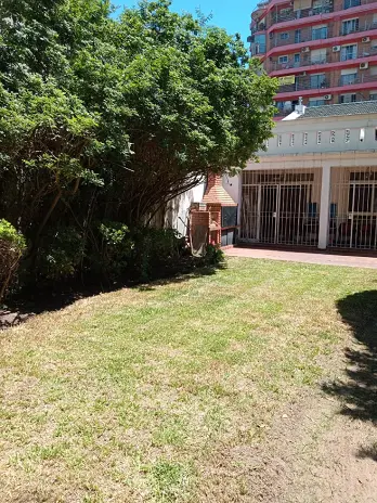 Servicio de Mantenimiento de Jardines - San Martín - imagen 9