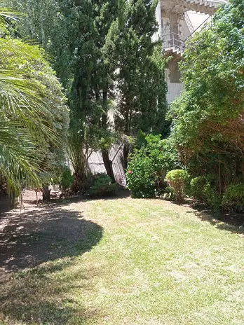 Servicio de Mantenimiento de Jardines - San Martín - imagen 10