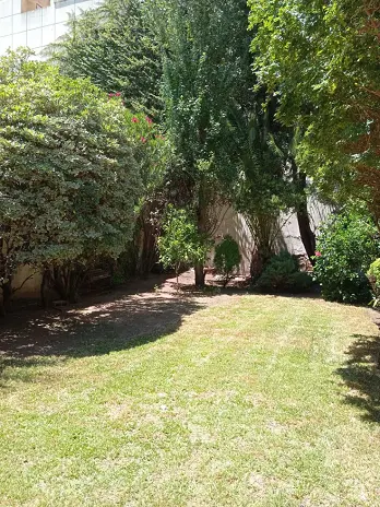 Servicio de Mantenimiento de Jardines - San Martín - imagen 11