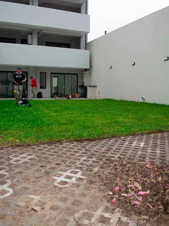 Servicio de Corte y Mantenimiento de Césped en Villa Mitre Buenos Aires Capital - imagen 1
