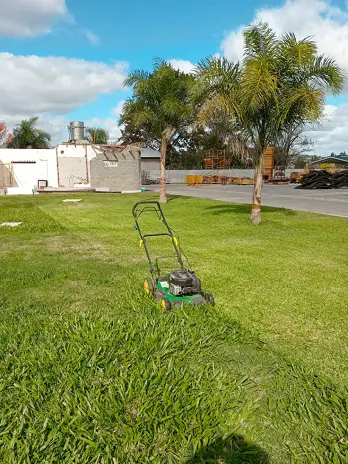 Servicio de Mantenimiento de Areas Verdes Para Empresas en Pilar - imagen 1