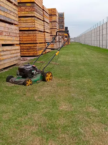 Servicio de Mantenimiento de Areas Verdes Para Empresas en Pilar - imagen 2