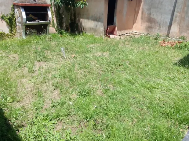 Servicio de Corte de Pasto en Liniers - imagen 1