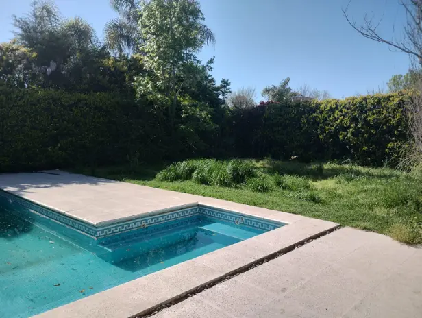 Servicio de Desmalezado y Limpieza de Jardín en Maschwitz - imagen 1