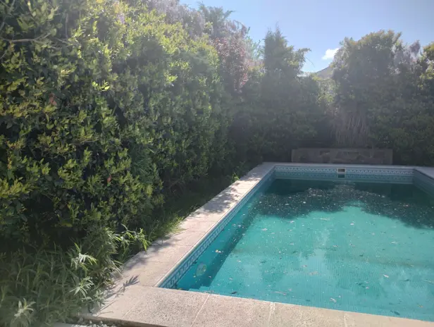 Servicio de Desmalezado y Limpieza de Jardín en Maschwitz - imagen 2