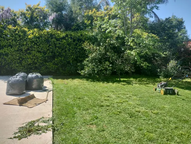 Servicio de Desmalezado y Limpieza de Jardín en Maschwitz - imagen 7