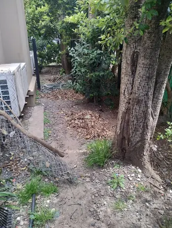 Servicio de Desmalezado y Limpieza de Jardín en Maschwitz - imagen 8