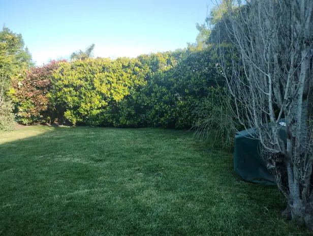 Servicio de Desmalezado y Limpieza de Jardín en Maschwitz - imagen 9
