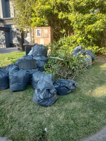 Servicio de Desmalezado y Limpieza de Jardín en Maschwitz - imagen 10