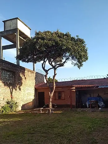 Poda de Altura en San Martín - imagen 2