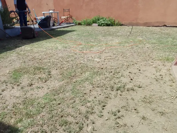 Servicio de Corte de Pasto en Liniers - imagen 3