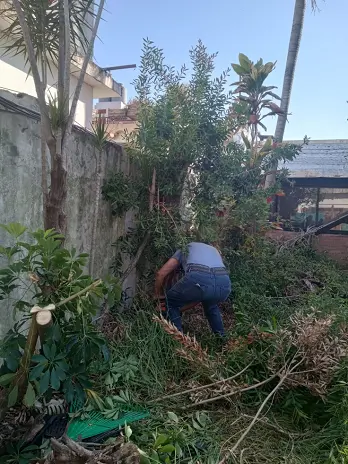 Servicio de Desmalezado y Limpieza de Terrenos en Villa Urquiza – CABA – Buenos Aires: Caso Ivana - imagen 7