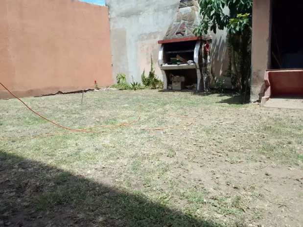Servicio de Corte de Pasto en Liniers - imagen 7