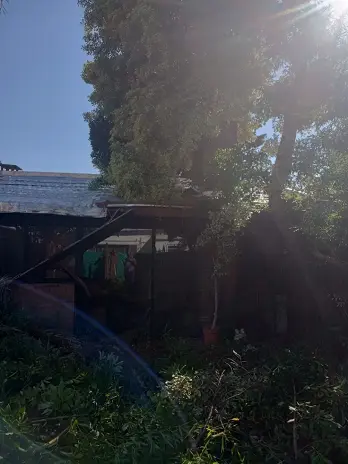Servicio de Desmalezado y Limpieza de Terrenos en Villa Urquiza – CABA – Buenos Aires: Caso Ivana - imagen 8