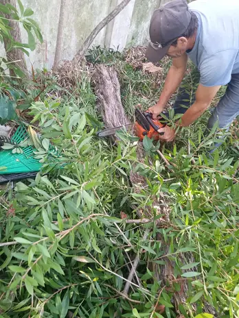 Servicio de Desmalezado y Limpieza de Terrenos en Villa Urquiza – CABA – Buenos Aires: Caso Ivana - imagen 9