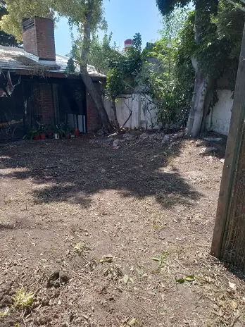 Servicio de Desmalezado y Limpieza de Terrenos en Villa Urquiza – CABA – Buenos Aires: Caso Ivana - imagen 13