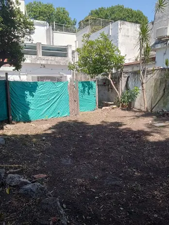 Servicio de Desmalezado y Limpieza de Terrenos en Villa Urquiza – CABA – Buenos Aires: Caso Ivana - imagen 14