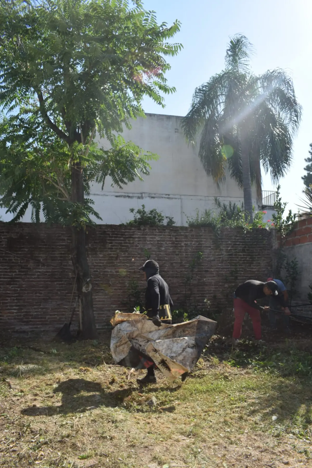 Servicio de Desmalezado y Limpieza de Terrenos en Mataderos – CABA – Buenos Aires