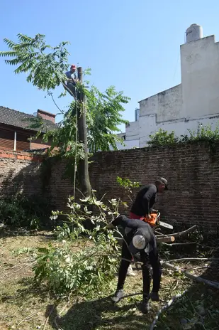 Servicio de Desmalezado y Limpieza de Terrenos en Mataderos – CABA – Buenos Aires - imagen 2