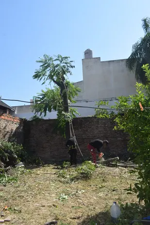 Servicio de Desmalezado y Limpieza de Terrenos en Mataderos – CABA – Buenos Aires - imagen 3