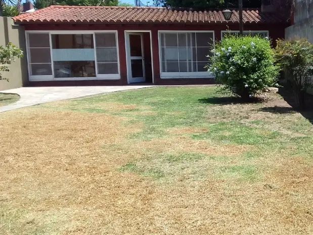 Servicio de Corte de Pasto en Don Torcuato - imagen 1