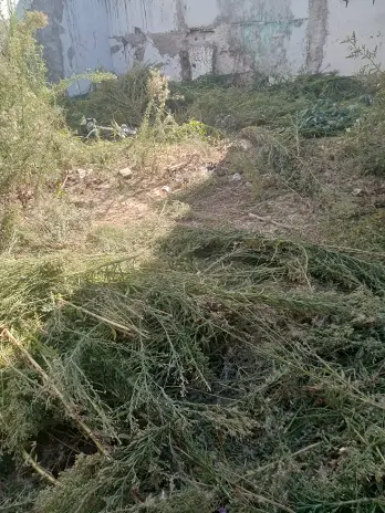 Desmalezado y Limpieza de Terreno en Villa Urquiza - CABA - Buenos Aires. Caso César - imagen 1