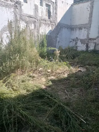 Desmalezado y Limpieza de Terreno en Villa Urquiza - CABA - Buenos Aires. Caso César - imagen 2