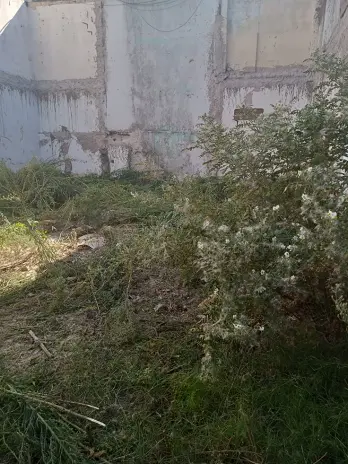 Desmalezado y Limpieza de Terreno en Villa Urquiza - CABA - Buenos Aires. Caso César - imagen 3
