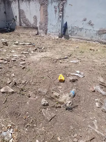 Desmalezado y Limpieza de Terreno en Villa Urquiza - CABA - Buenos Aires. Caso César - imagen 9