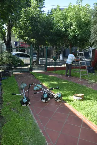 🌿 Recuperación de Jardín: Limpieza de Enredaderas y Cercos en Beccar - Buenos Aires - imagen 1