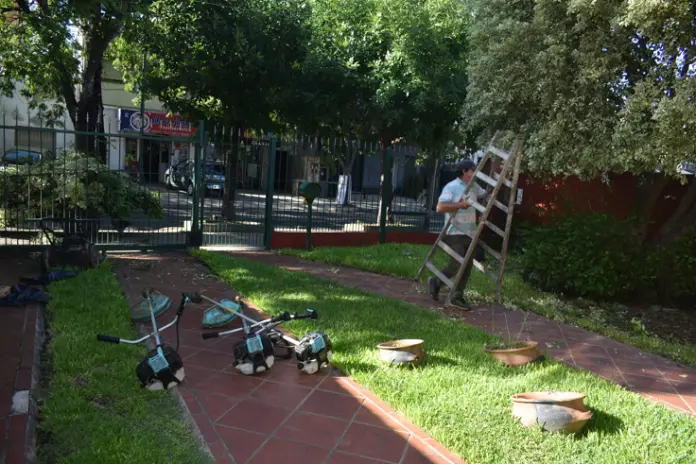 🌿 Recuperación de Jardín: Limpieza de Enredaderas y Cercos en Beccar - Buenos Aires - imagen 2