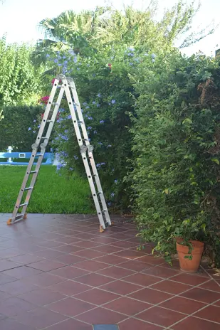 🌿 Recuperación de Jardín: Limpieza de Enredaderas y Cercos en Beccar - Buenos Aires - imagen 3