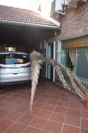 🌿 Recuperación de Jardín: Limpieza de Enredaderas y Cercos en Beccar - Buenos Aires - imagen 10
