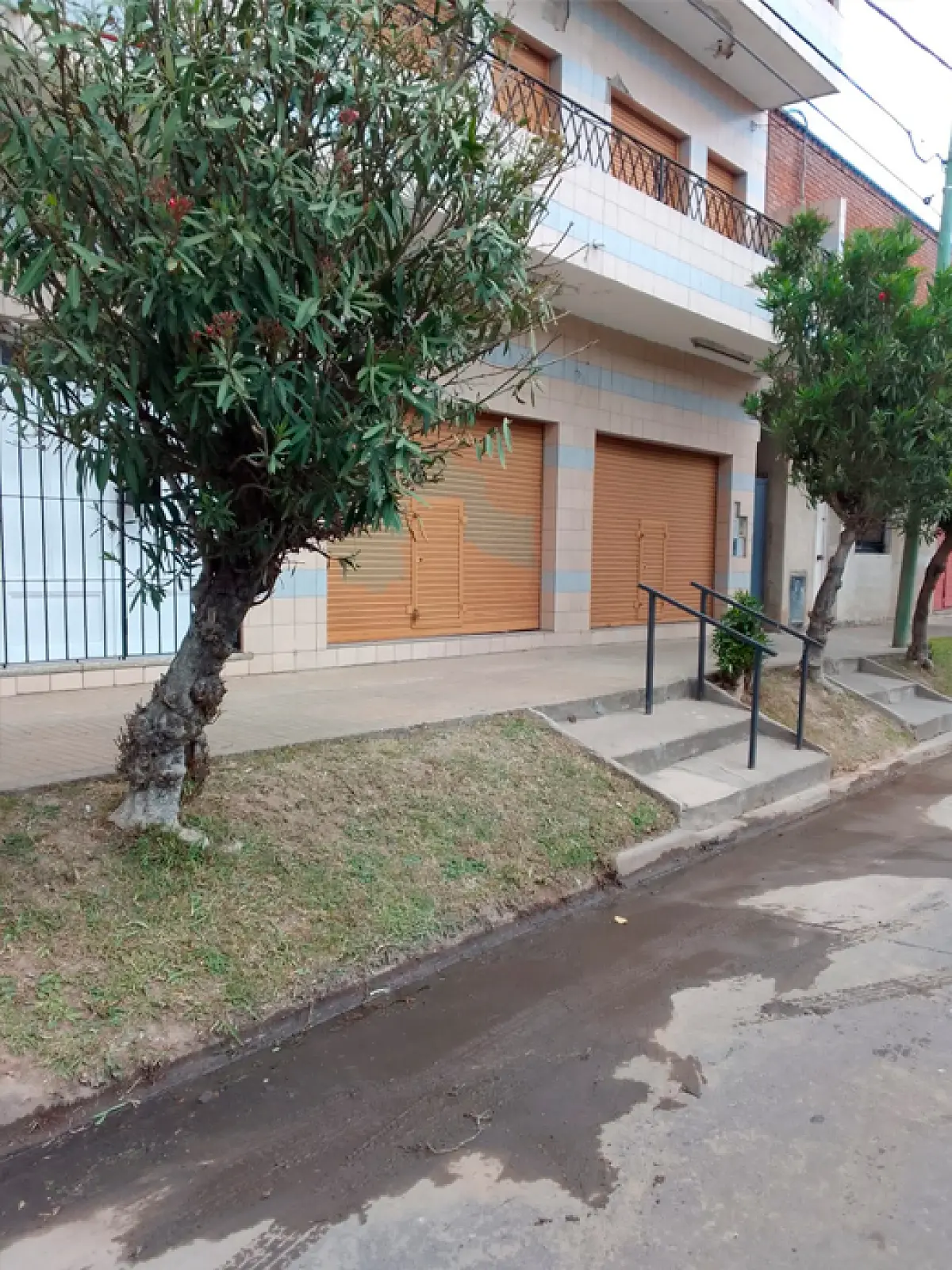 Servicio de Corte y Mantenimiento de Pasto en Beccar