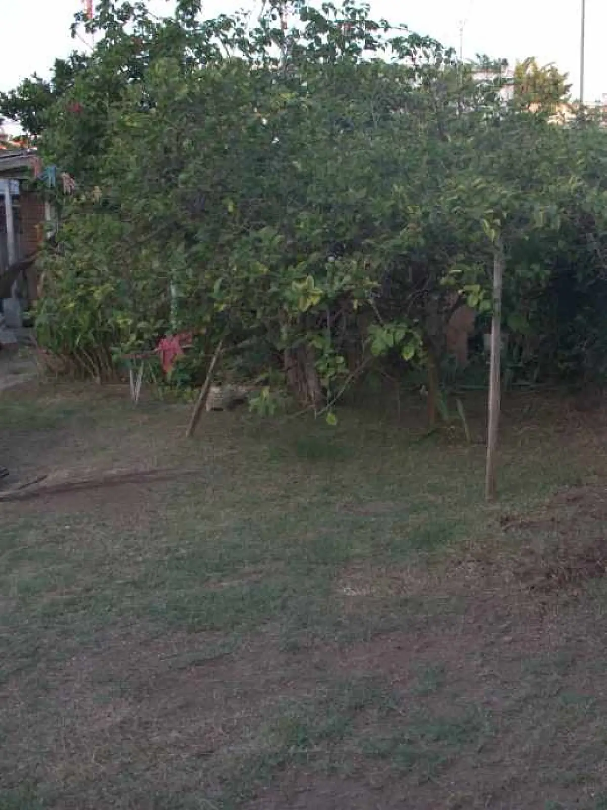 Servicio de Mantenimiento de Jardines