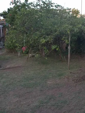 Servicio de Mantenimiento de Jardines